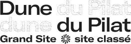 Logo Item